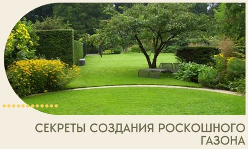Секреты создания роскошного газона в Карпинске