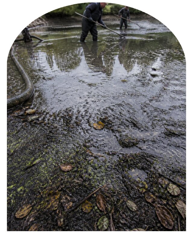 Очистка пруда в Карпинске от ила мусора и водорослей с вывозом